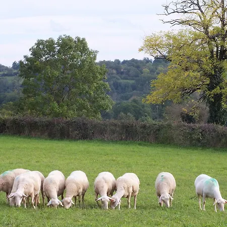 L'oustal De Peiro * Le Bourg