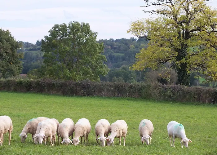 L'oustal De Peiro * Le Bourg